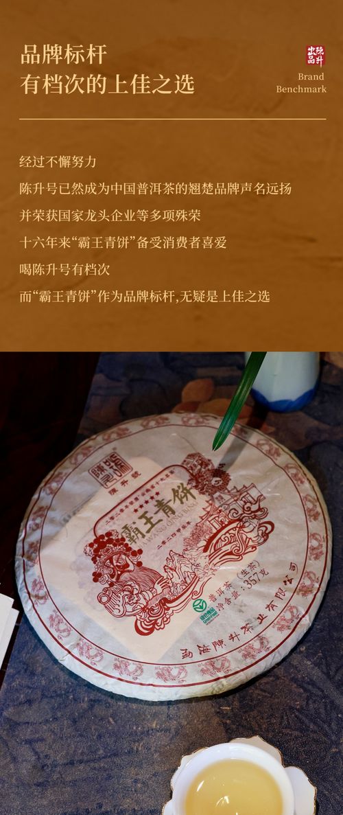 茶中霸王 其質(zhì)如名 陳升號2024年 霸王青餅 面市 茶友網(wǎng)