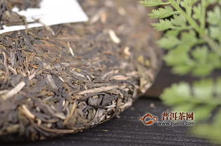 石雨益昌號滑竹梁子 總有一種西雙版納巔峰的味道讓你無法忘懷 產品新聞,普洱茶產品新聞,新品上市新聞 普洱茶網