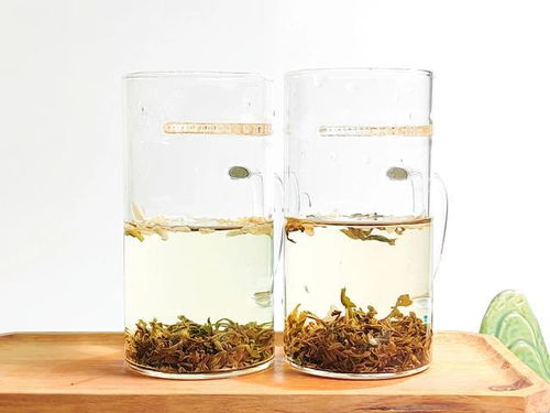 炒青與烘青茉莉花茶的對(duì)比,三萬(wàn)昌碧螺茉莉?qū)Ρ烫讹h雪特級(jí)茉莉