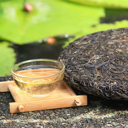 圓茶 景邁古樹純料 福元昌圓茶