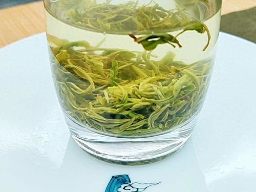 2023綠茶聯(lián)賽，江西隊出戰(zhàn)之狗牯腦茶登場