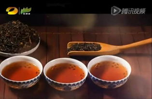 潤元昌柑普茶 湖南廣電茶頻道傾情推薦，品味地道茶香