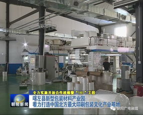 年產值20億元包裝產業園崛起，26家包裝印刷廠共筑產業新高地